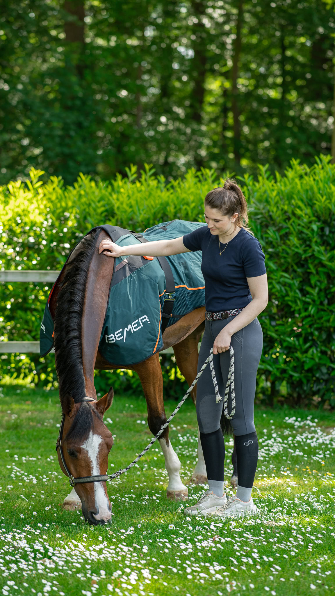 bemer-therapie-paard