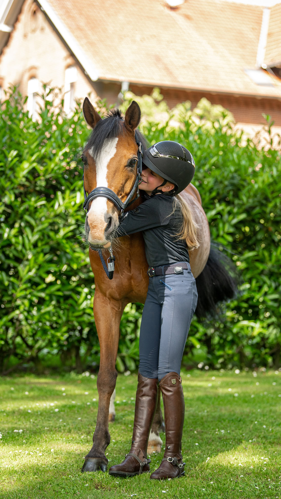paard-knuffelen